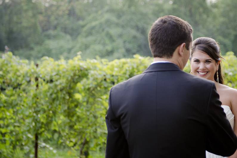Shelburne Vineyard