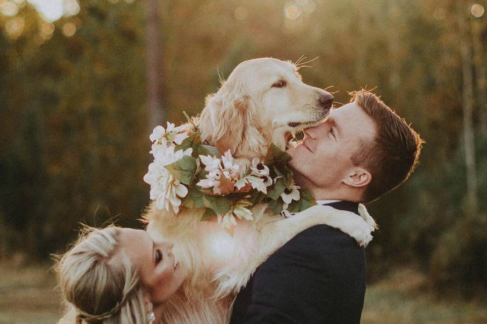 Bride & Groom with dog