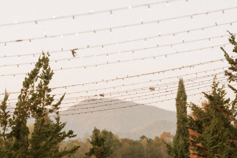 Venue