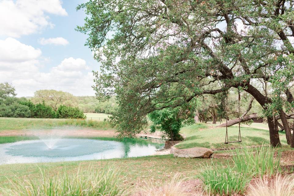 Ceremony backdrop