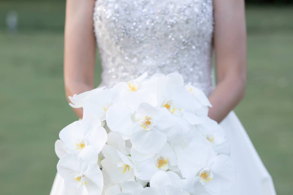 Gorgeous only orchids bouquet