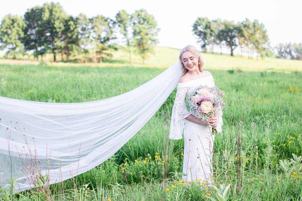 Stunning veil