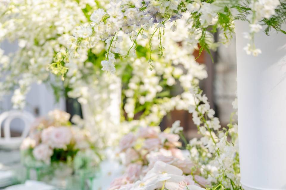 Melody Carmody Photography