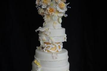 Sofelle Cake Artistry