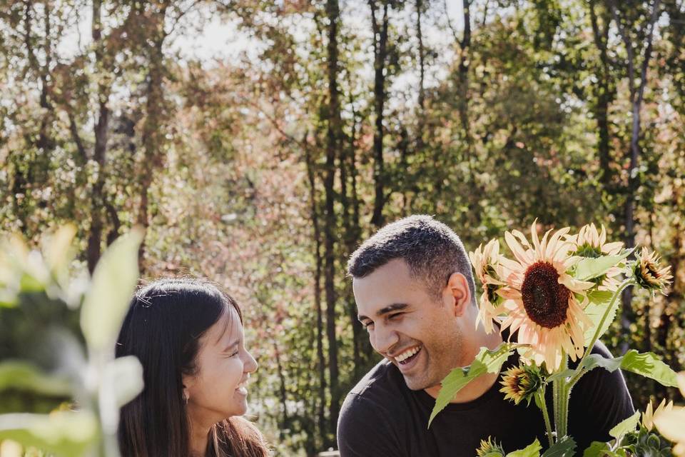 In the sunflowers
