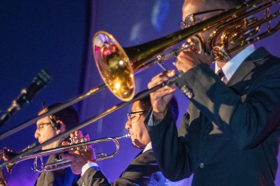 The horn section