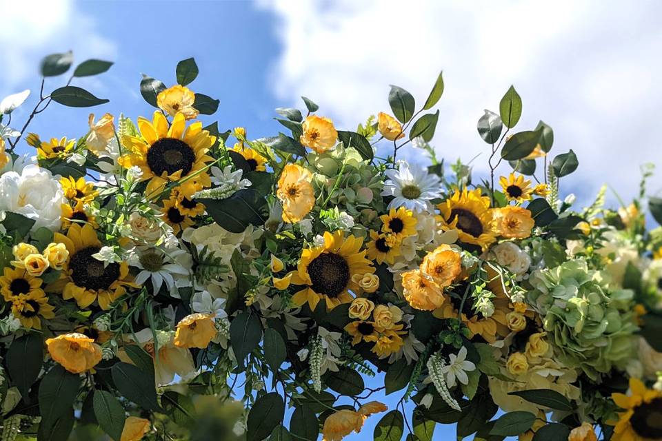 Sunflower Fields infinity arch