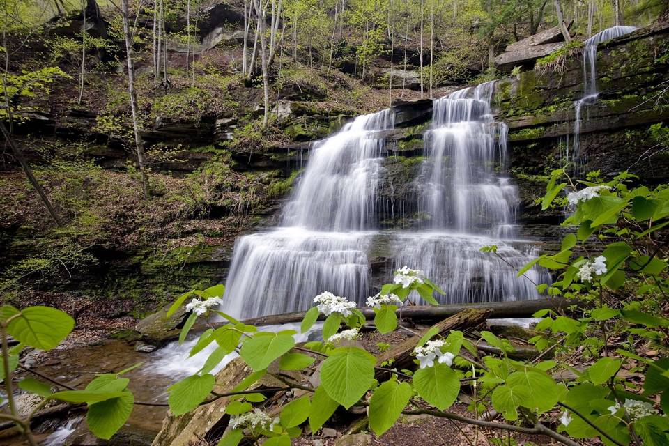 Waterfalls