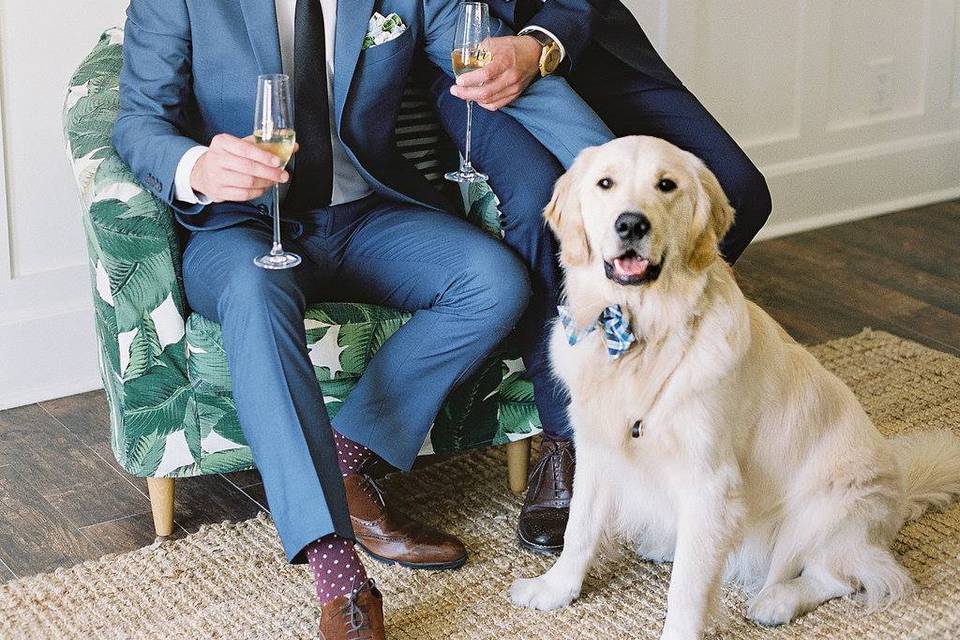Newlyweds with their dog