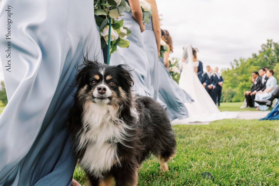 Fiddler's Elbow Weddings