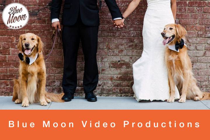 Blue Moon Video Productions