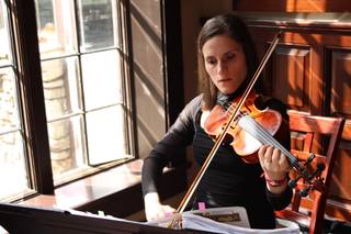 Perfect Harmony Violin