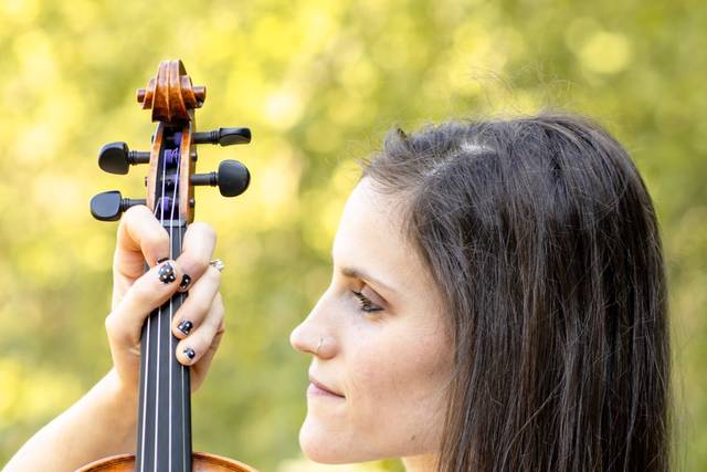 Perfect Harmony Violin