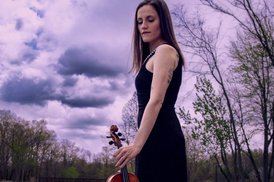 Perfect Harmony violin