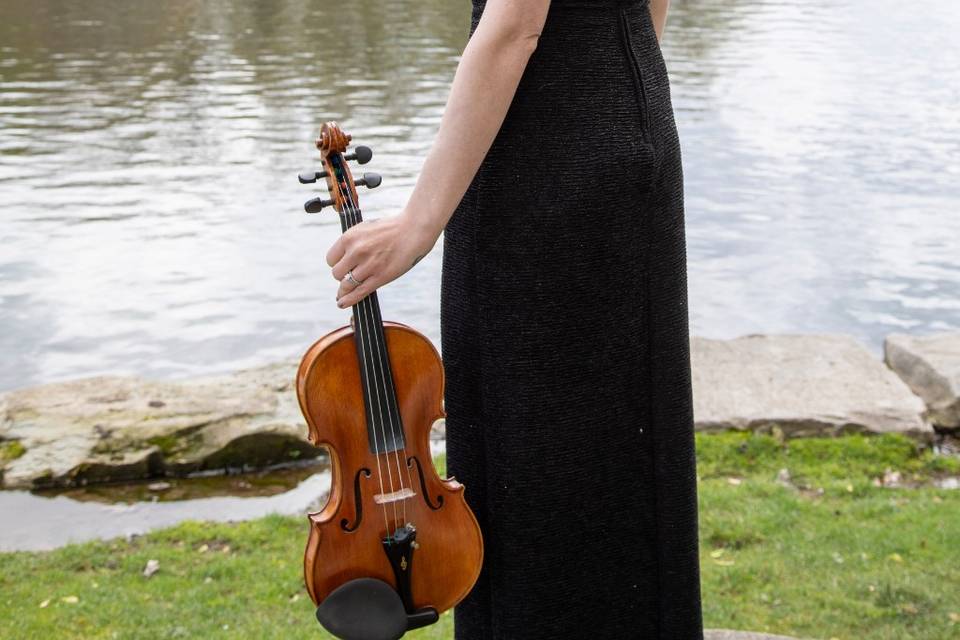 Perfect Harmony violin