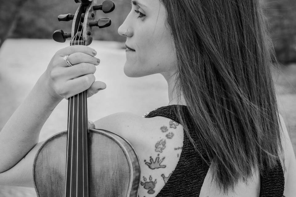 Perfect Harmony violin