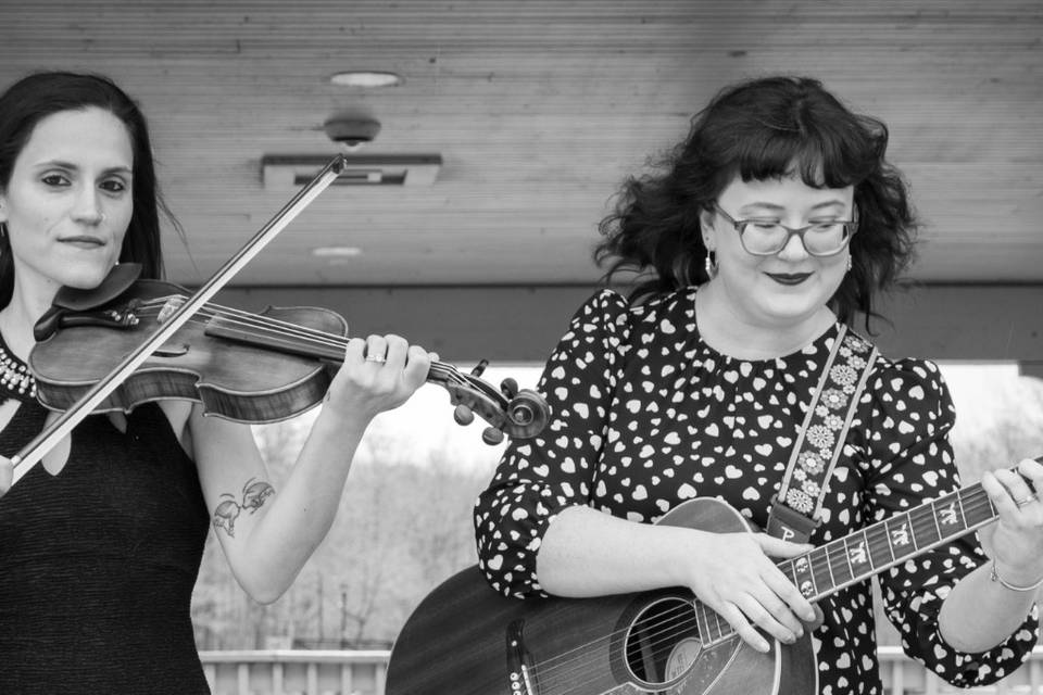 Perfect Harmony violin