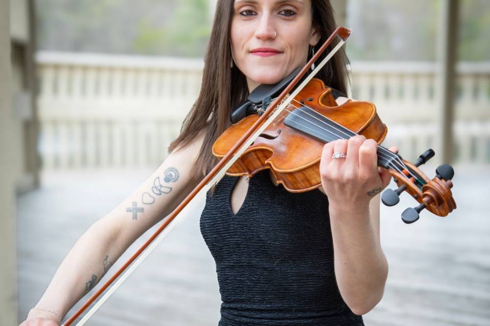 Perfect Harmony violin
