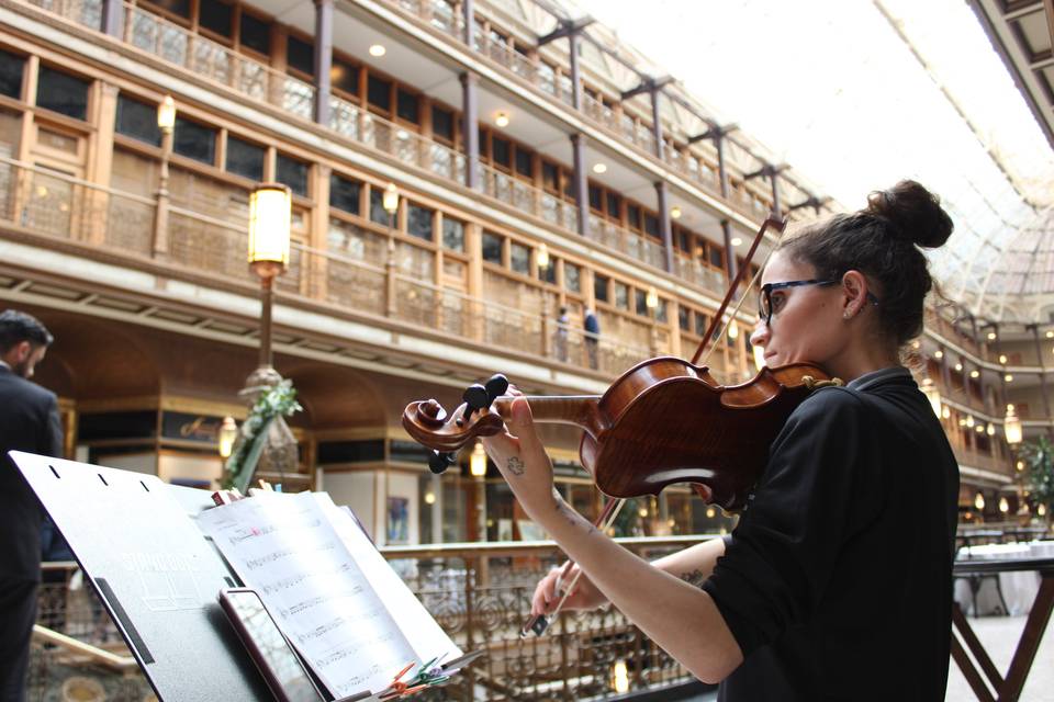 Perfect Harmony Violin