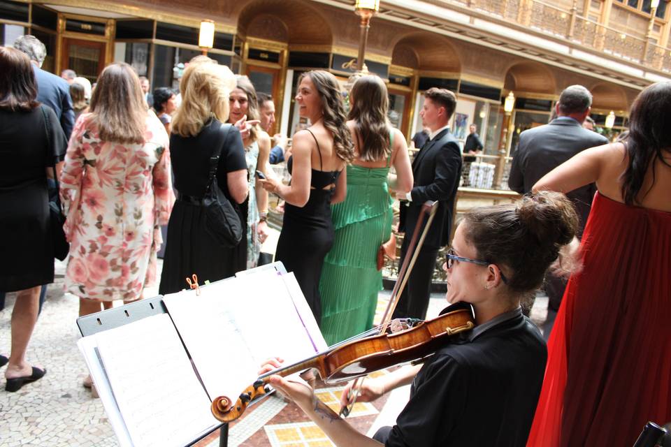 Perfect Harmony Violin