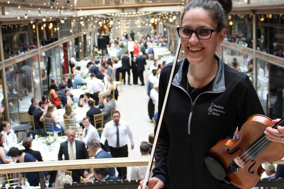 Perfect Harmony Violin