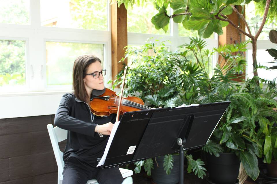 Perfect Harmony Violin