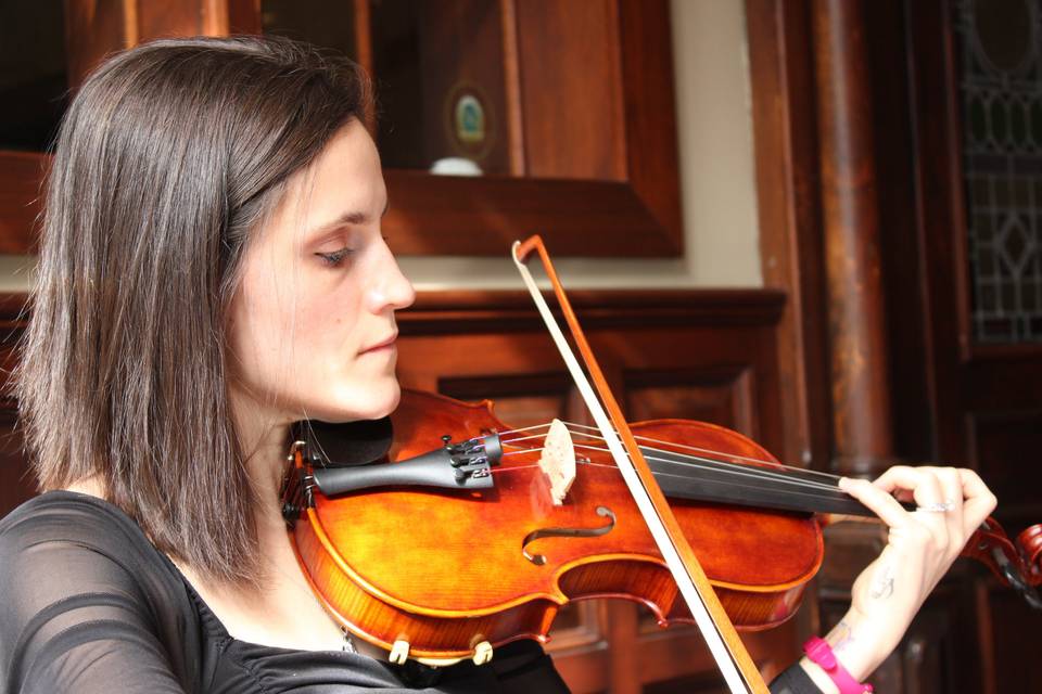 Perfect Harmony Violin