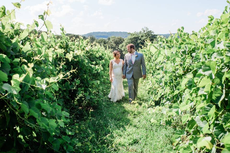 Bride &. Groom in vineyard