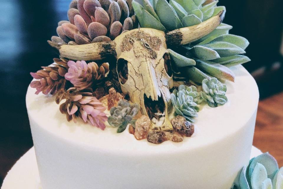 Succulent Cake