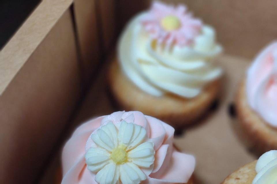 Daisy Cupcake