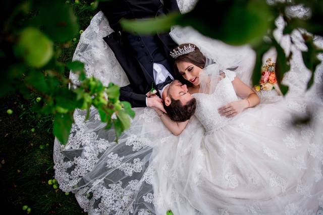 Under the apple tree