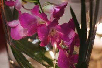 orchid centerpiece