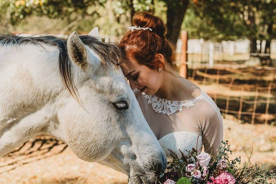 Beautiful bride and horse