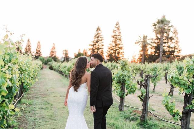 Vineyard