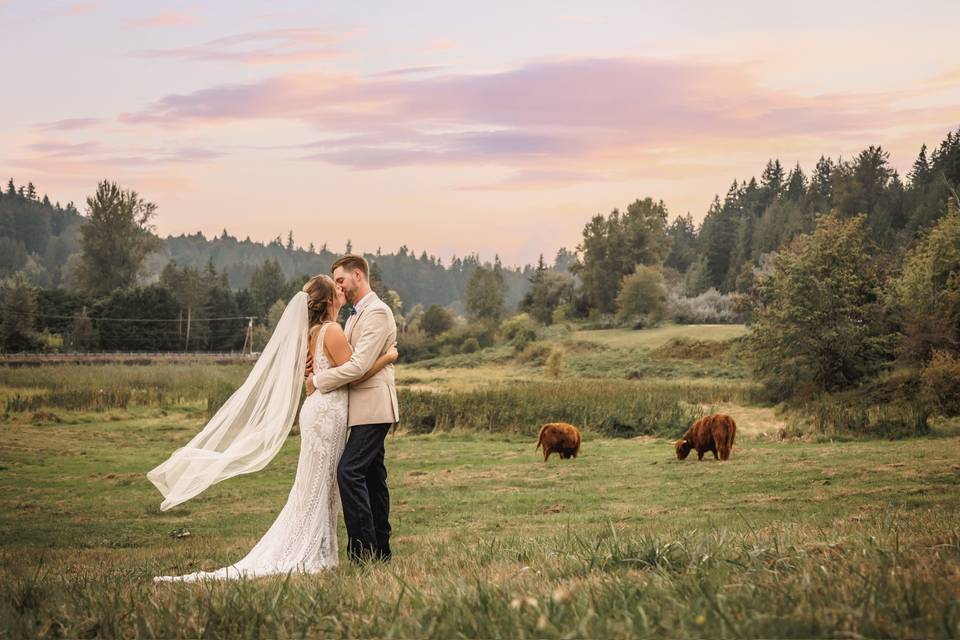 Rebecca Jane Photography