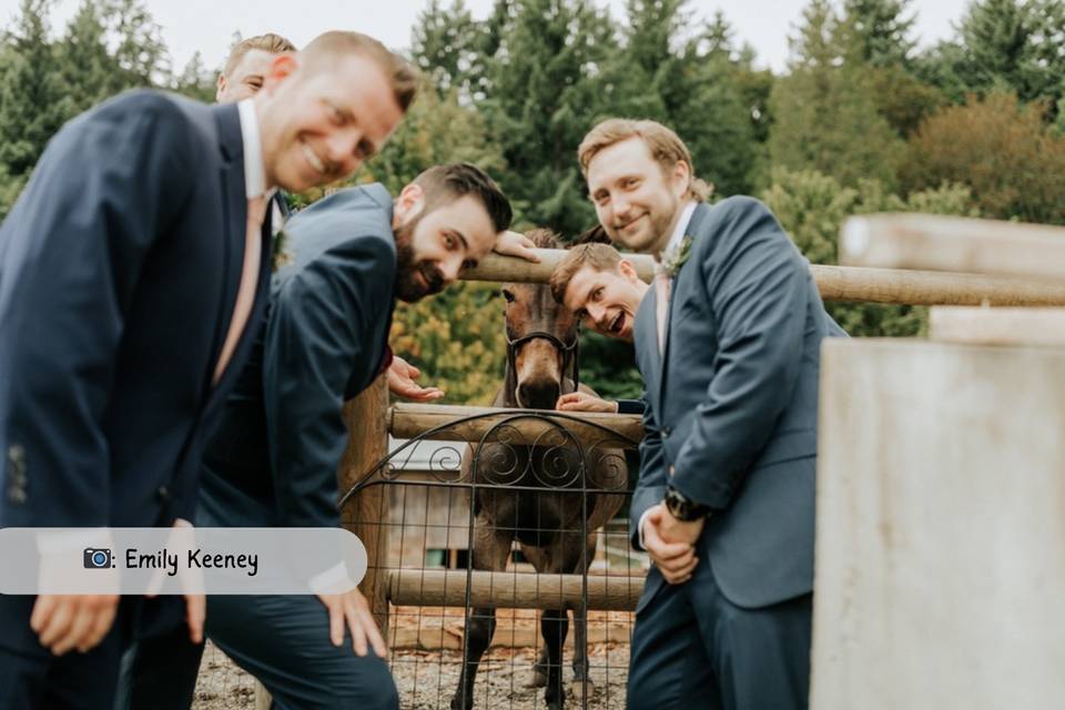 Rescue Mule Love