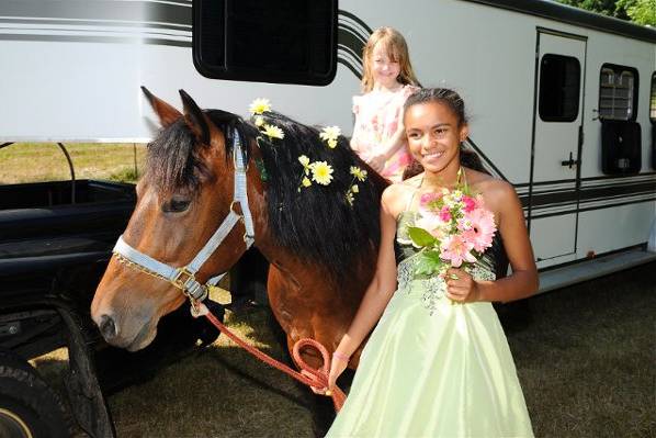 Horse Prom Dresses