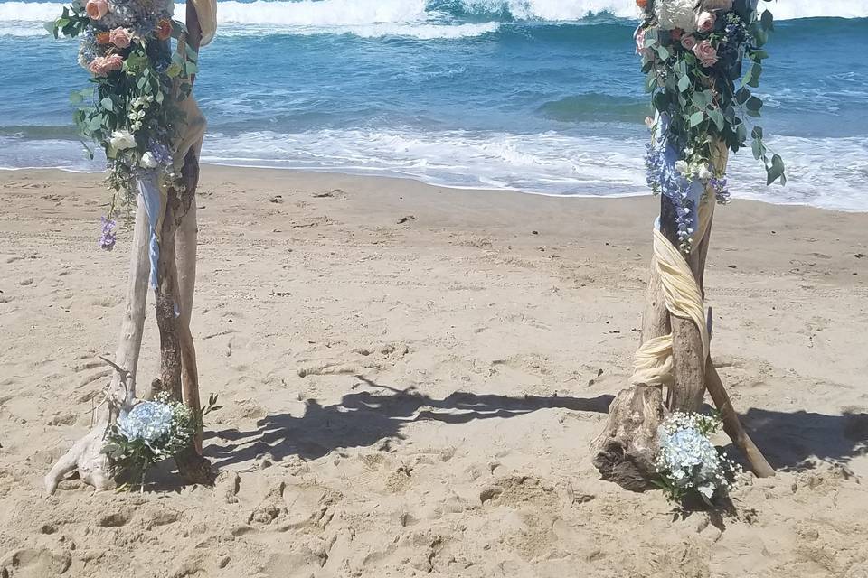 Driftwood Arch