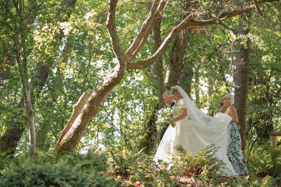 Walking down the forest aisle