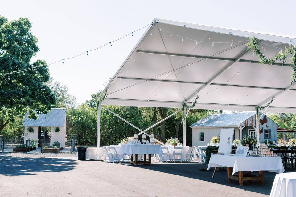 Reception Tent