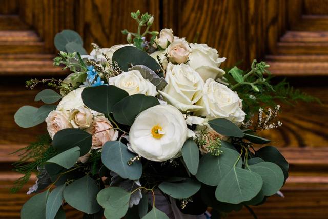 By Shea McGrath Photography