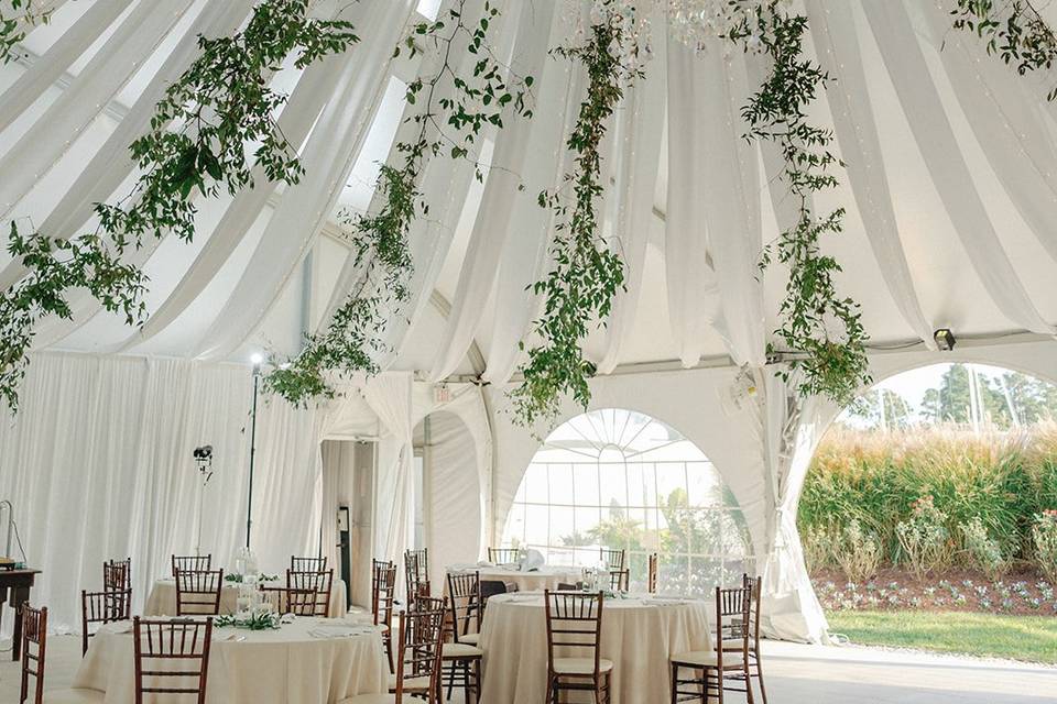 Smilax ceiling