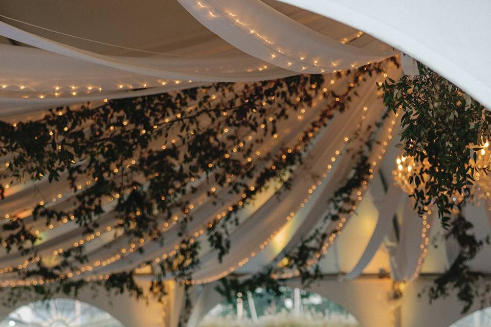 Ceiling greenery