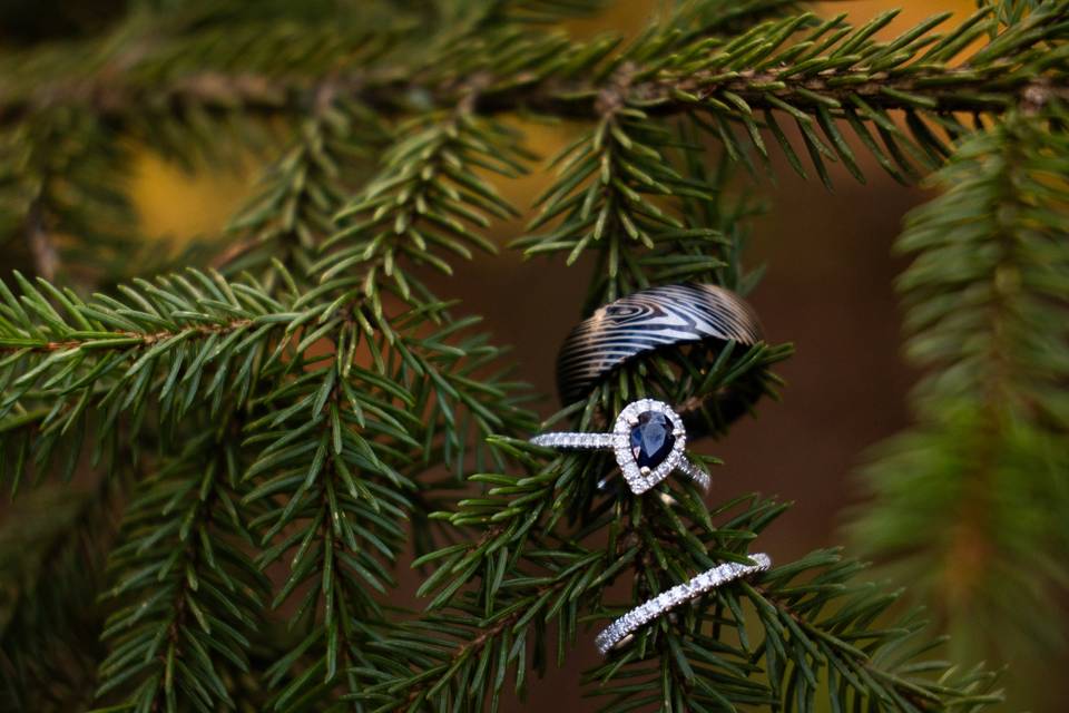 Golden Hour Elopements