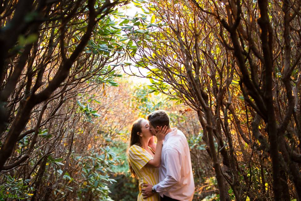 Golden Hour Elopements