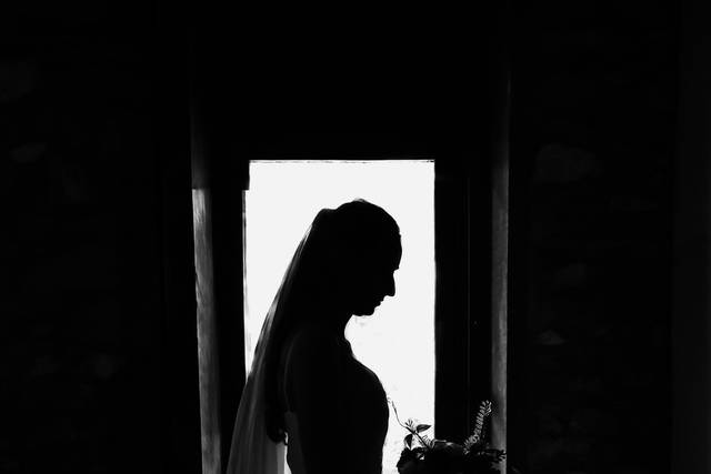 Wedding silhouettes