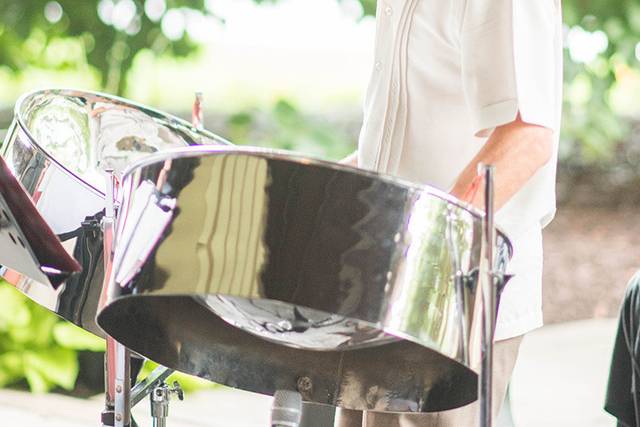 Dan Meunier - Steel Drummer