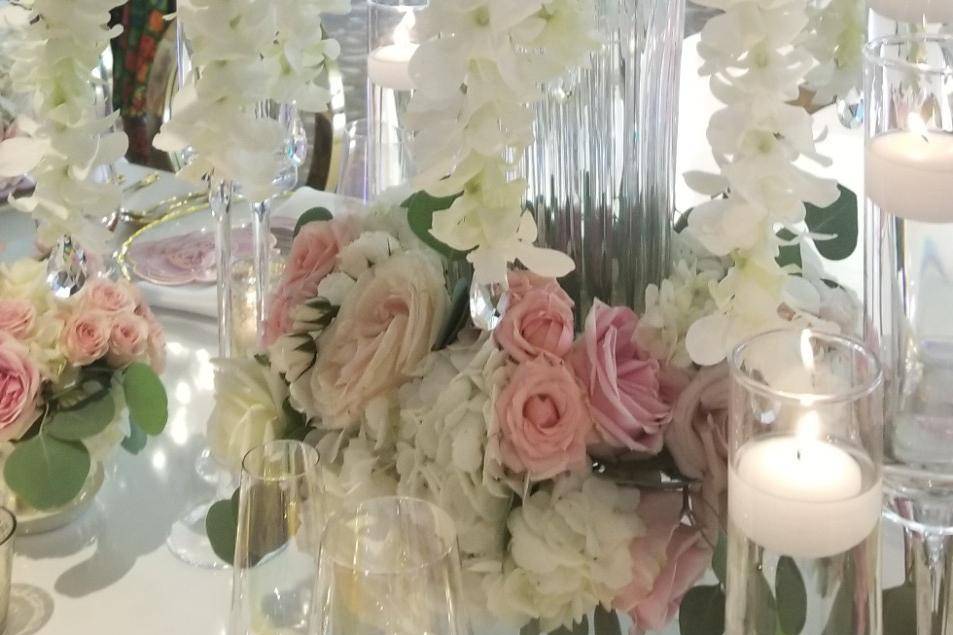 Beautiful Hanging Orchids