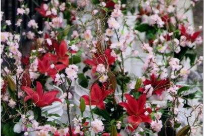 a la carte flowers (a division of Robert's Wholesale Flowers)