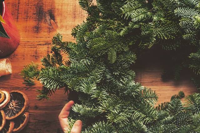 Emmerich Tree Farm